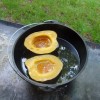 acorn squash