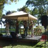 Musicians on Stage